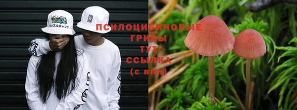 прущая мука Белокуриха